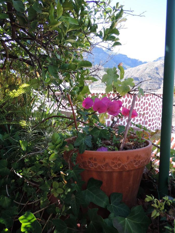 טחדה Rural Houses Serafin Casa Rural Serafin The Best Views מראה חיצוני תמונה