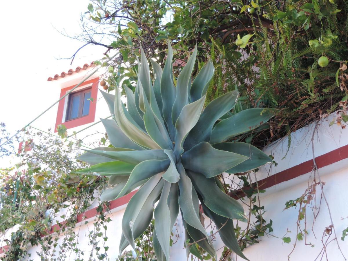 טחדה Rural Houses Serafin Casa Rural Serafin The Best Views מראה חיצוני תמונה