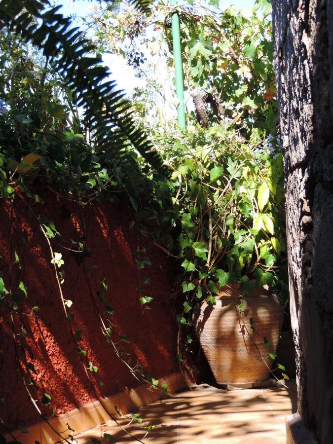 טחדה Rural Houses Serafin Casa Rural Serafin The Best Views מראה חיצוני תמונה