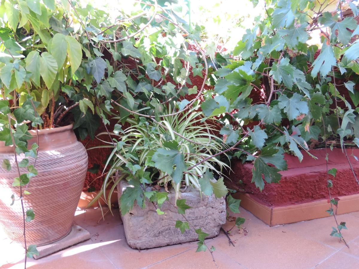 טחדה Rural Houses Serafin Casa Rural Serafin The Best Views מראה חיצוני תמונה